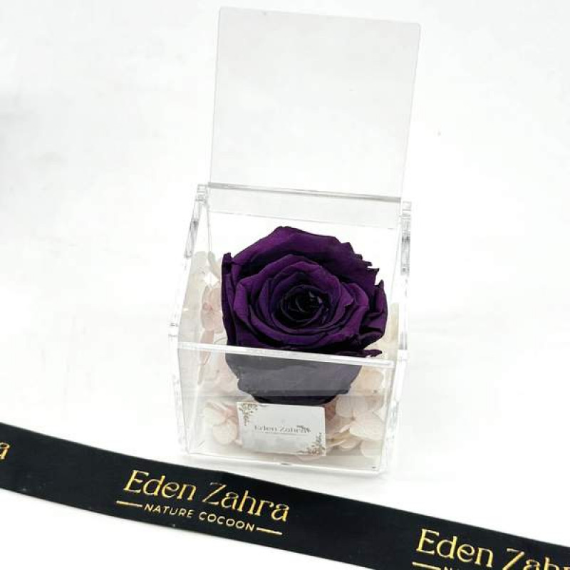 Pure Purple