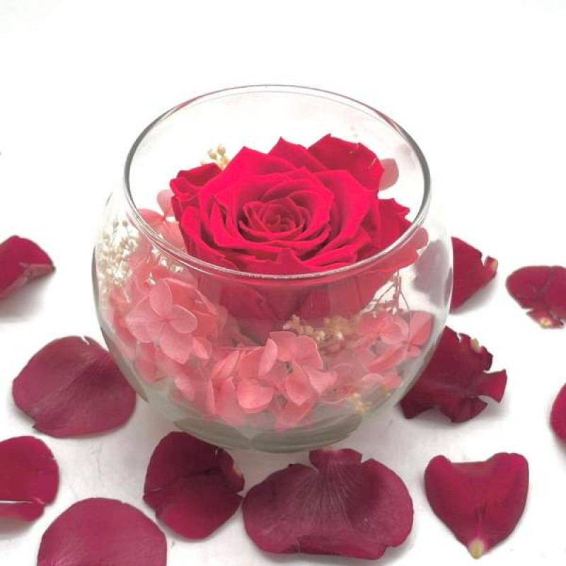 Reflet Pink