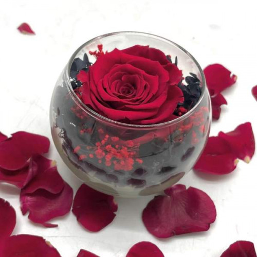 Reflet Royal Red Reflet Royal Red