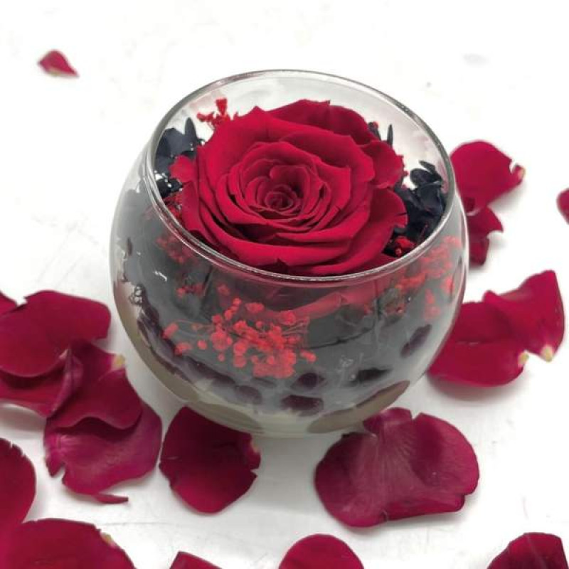 Reflet Royal Red