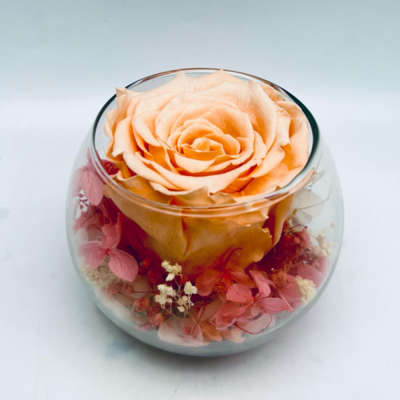 Reflet Blush