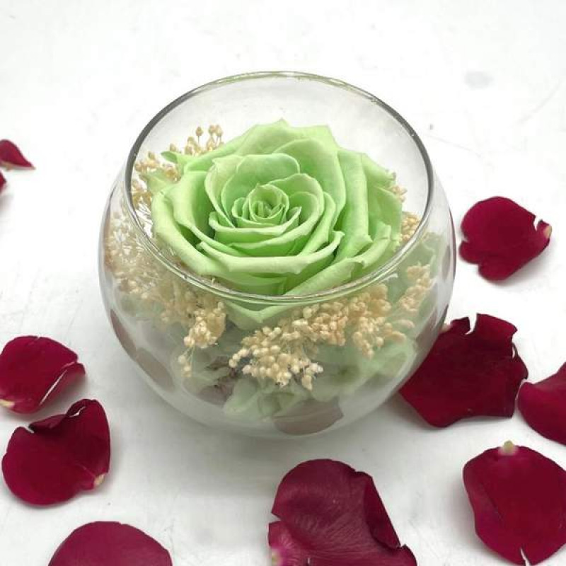 Reflet Vert Eau