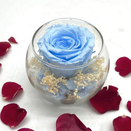 Reflet Baby Blue Reflet Baby Blue