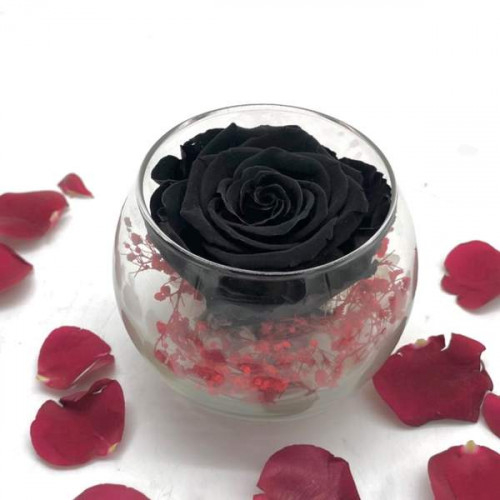 Reflet Noir Passion Reflet Noir Passion