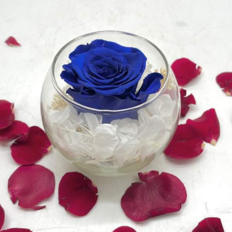 Reflet Royal Blue
