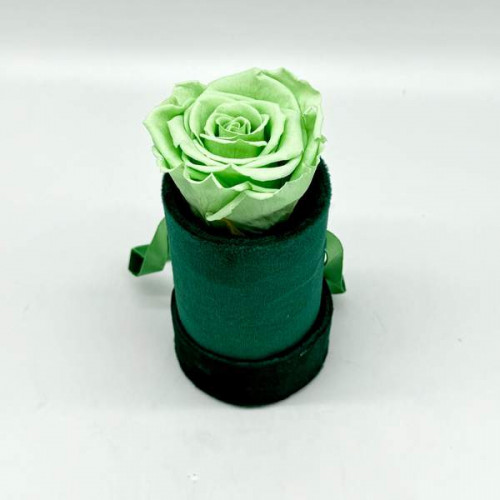 Étoile Vert Eau Étoile Vert Eau