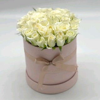 Flower Box Pink & White M