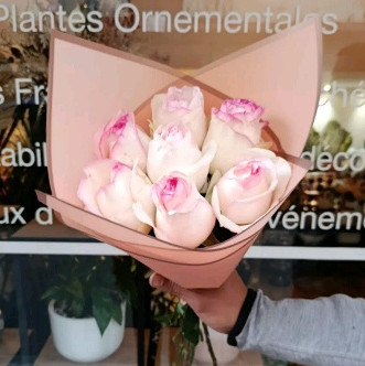 Premium Bordées Roses 7