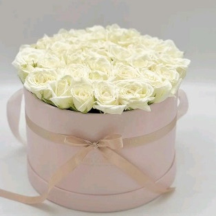 Flower Box Pastel XL 