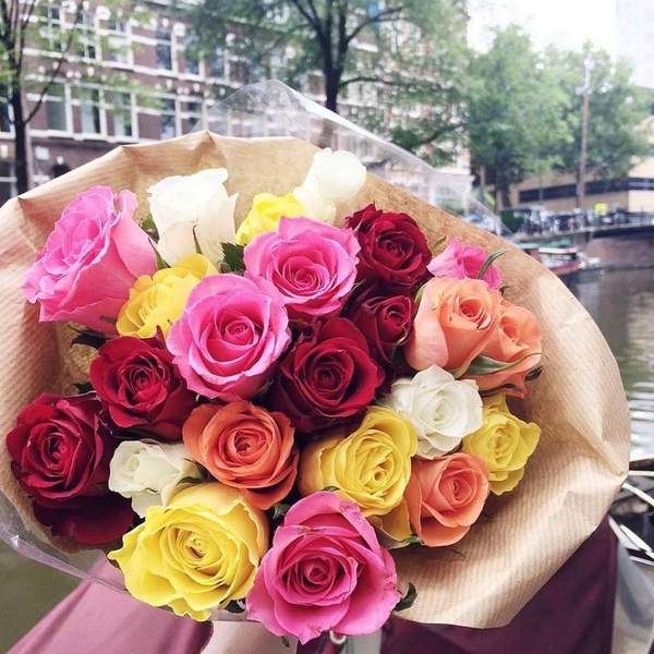 Bouquet Of 15 Roses MIX