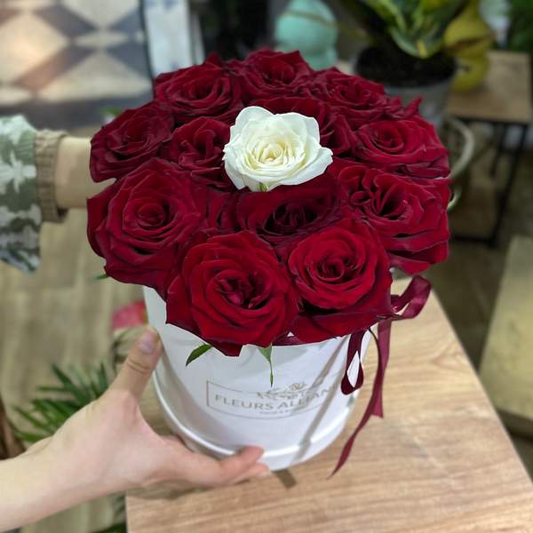 BoX amour Central Blanc