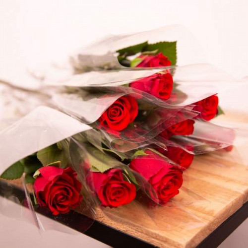 UNE ROSE UN COUP DE FOUDRE UNE ROSE UN COUP DE FOUDRE