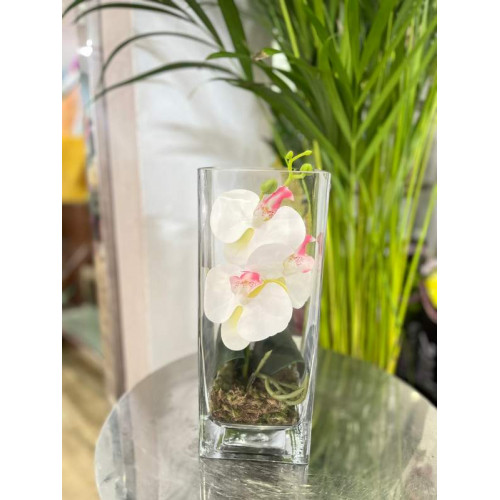 Orchidé vase Orchidé vase