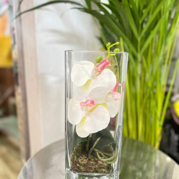 Orchidé vase
