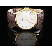 Festina – Classique dorée pour hommes – Bracelet cuir marron – Diamètre 39 mm – F16747/1