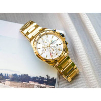 Festina – Montre chronographe dorée pour homme – Tout en acier inoxydable – F20541/1