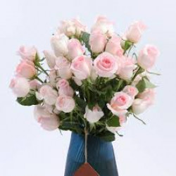 Light Pink Roses | Blue Vase
