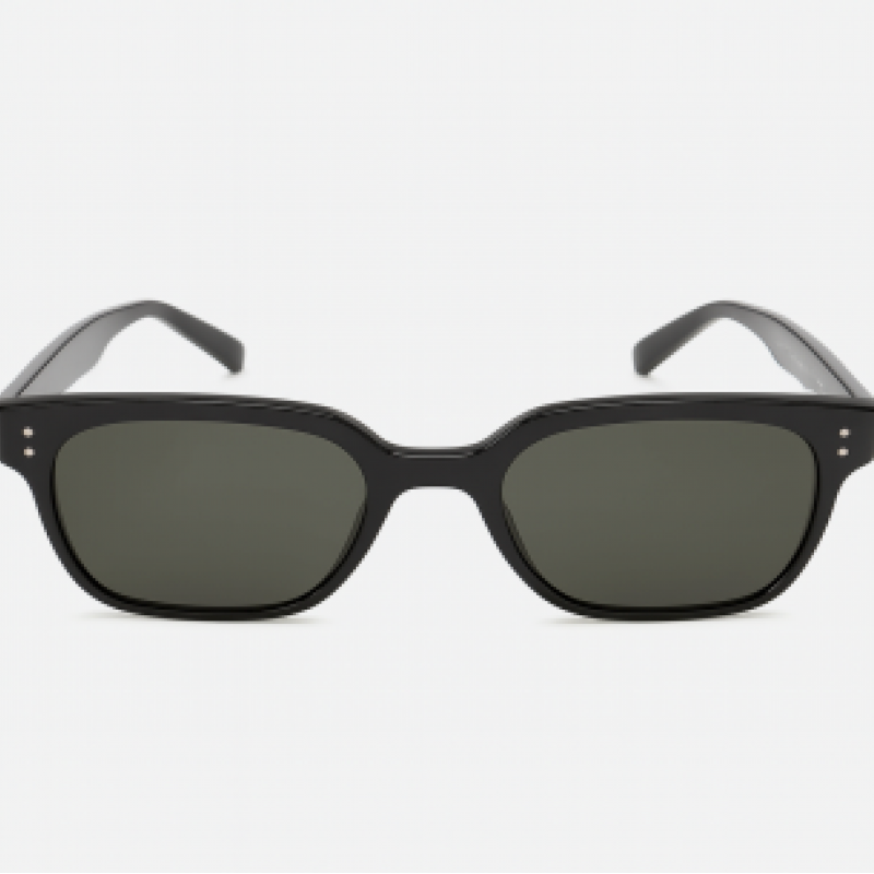 Lunettes de soleil PETER MILLER 3192 C1 noir