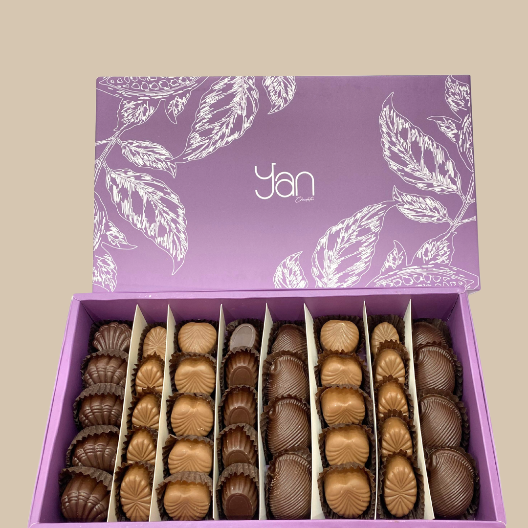 BOITE SANS SUCRE 500G