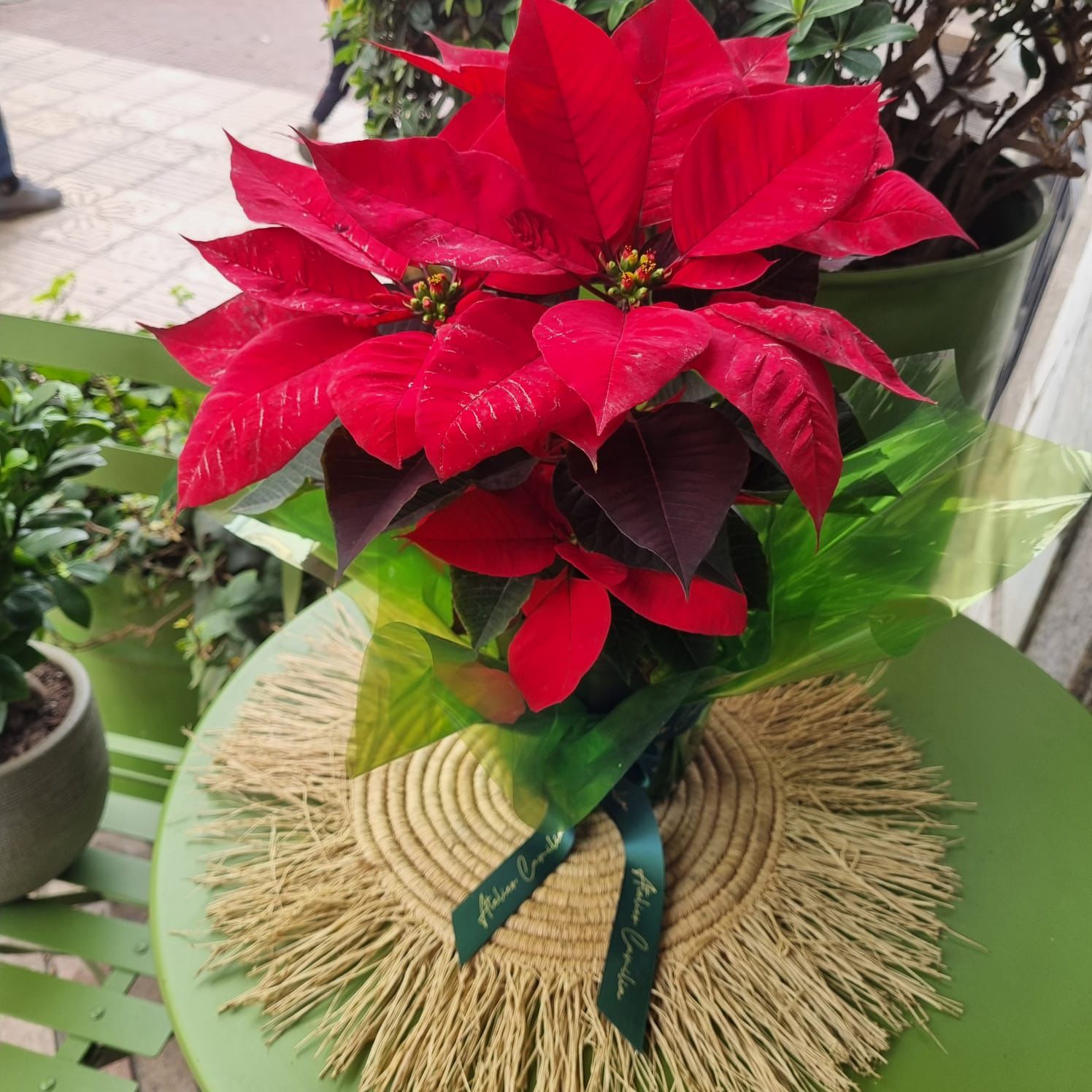 Bougie Tiara en fête