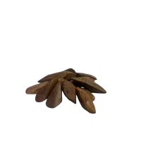 L'OUD maaroki mohasan 5 gram