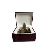 OUD HINDI TABIEI 5 gram