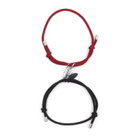 Magnet'Ficent (Avec 2 gravures)