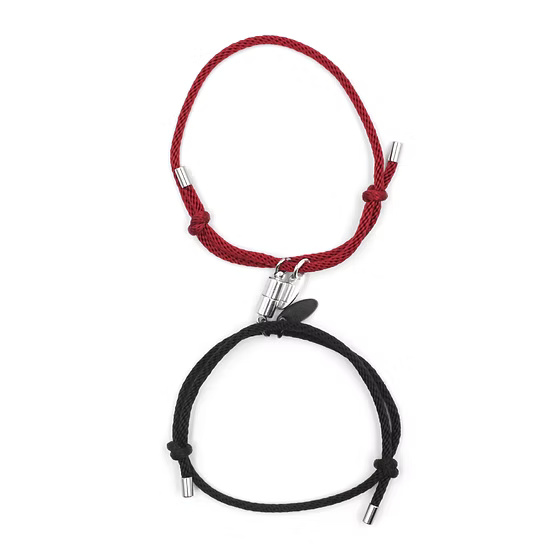 Magnet'Ficent (Avec 2 gravures)