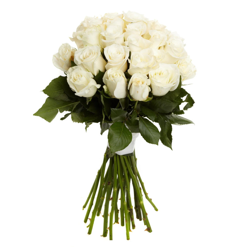 Harmonie Blanche – 25 Roses