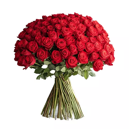 Bouquet 101 Roses Rouges