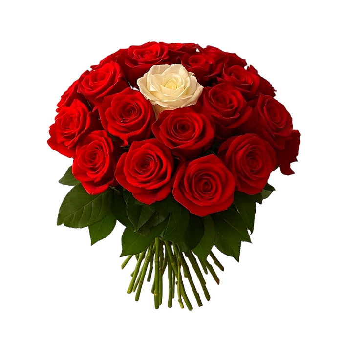 Un Seul Toi – 24 Roses Rouge 1 Rose Blanche
