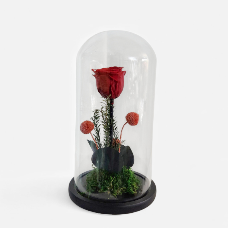 clouche rose rouge éternelle 30/15 cm