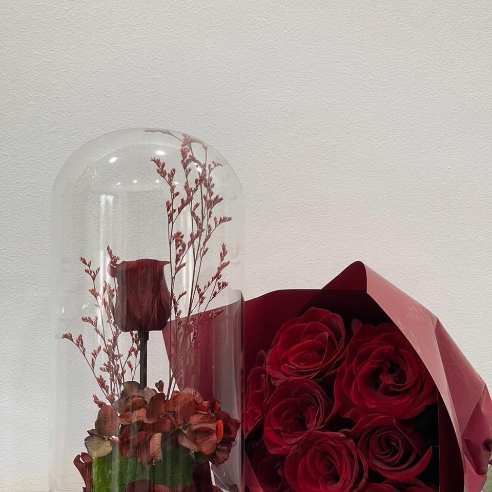Pack 7 cloche de rose rouge éternelle et bouquet de 10 Roses rouges naturelle