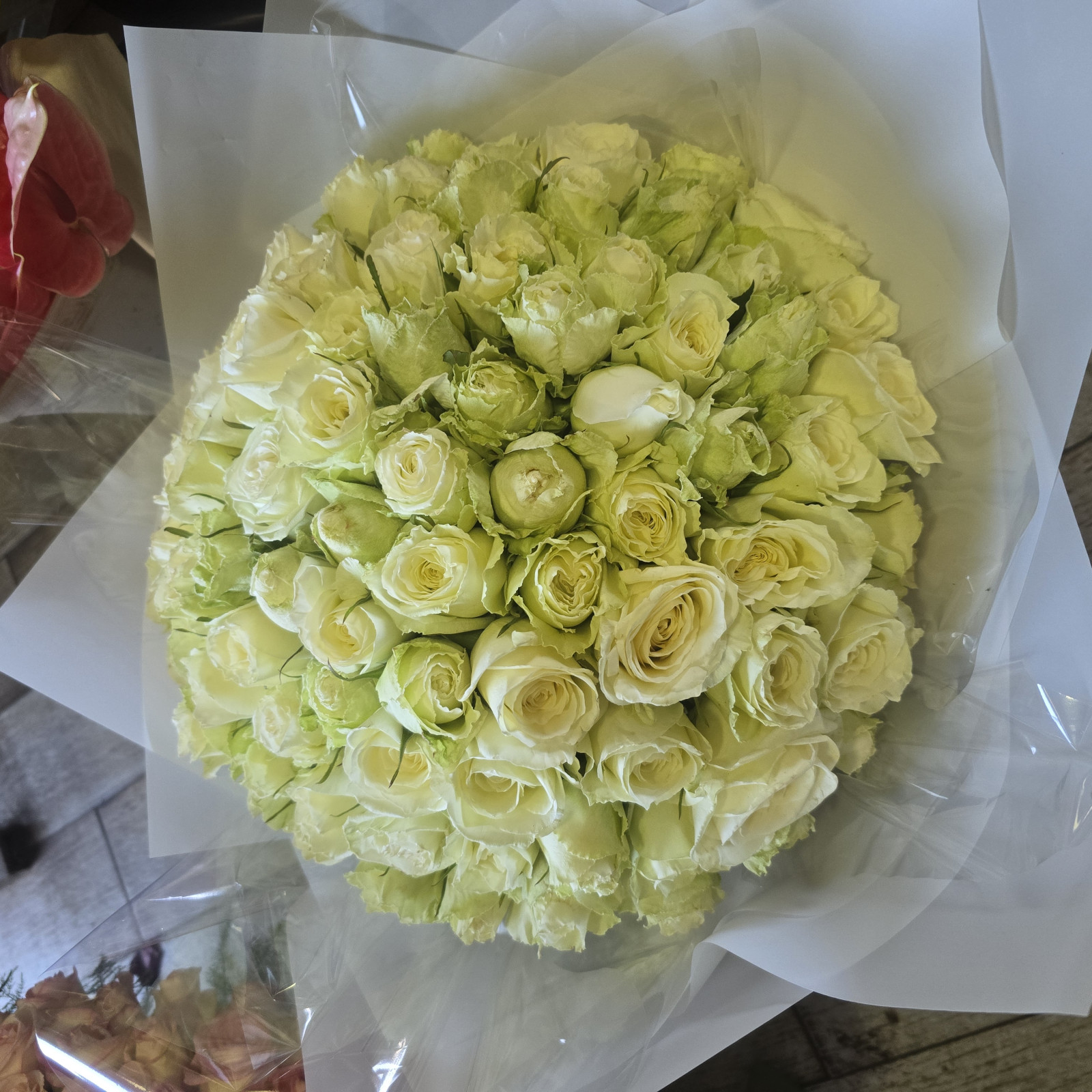 Bouque de 100 roses blanche
