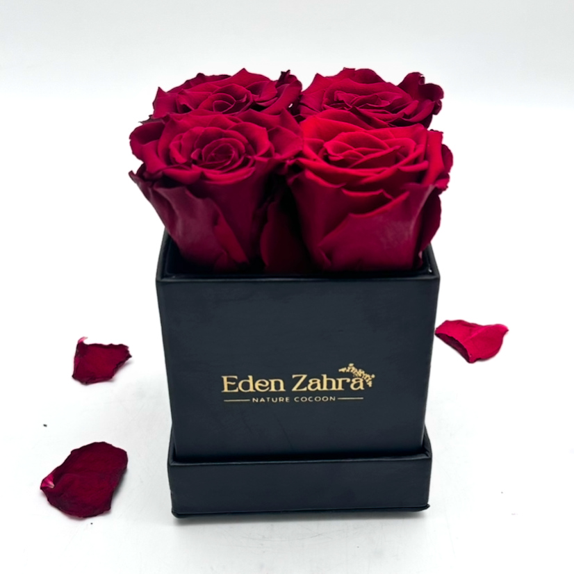 Carré D’Etoile Rouge