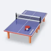 Mini Table de Ping-Pong en Bois – Éveil & Sport à Domicile