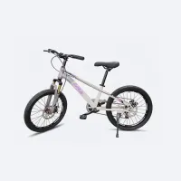 Vélo pour enfants 20" Sécurité & Qualité | Freins à disque | Tout-terrain