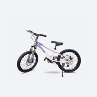 Vélo pour enfants 20" Sécurité & Qualité | Freins à disque | Tout-terrain