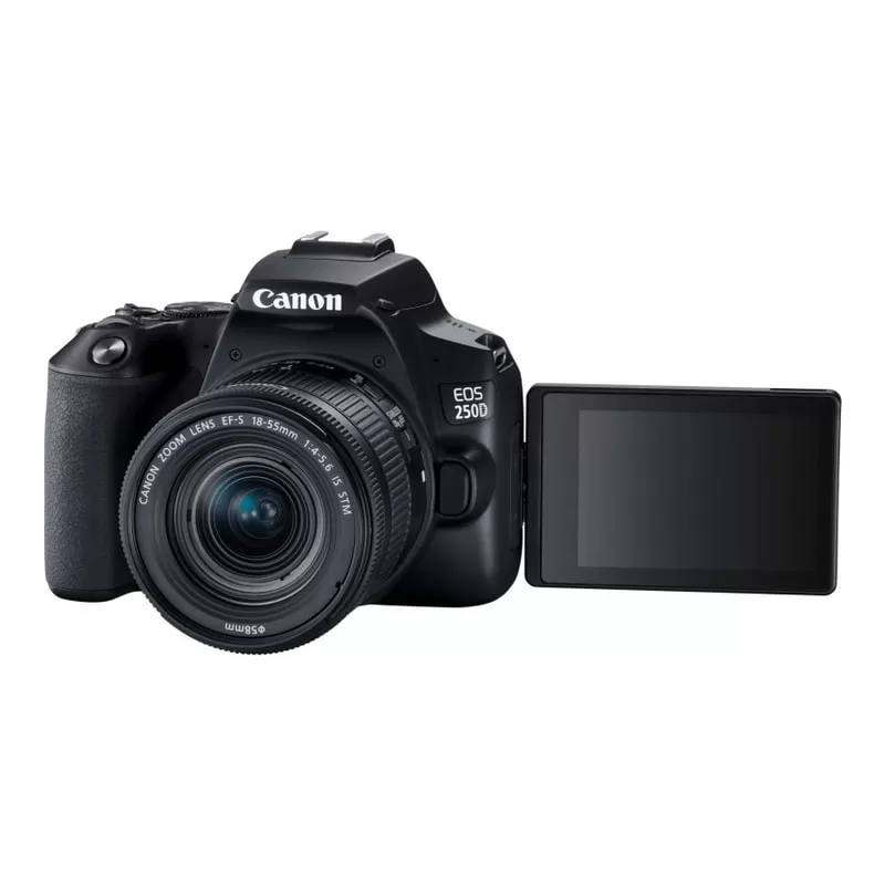 Canon EOS 250D + Objectif EF-S 18-55mm IS STM