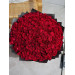 Bouquet roses rouge Bouquet roses rouge