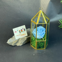 Rose Eternelle sous Fanous