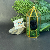 Rose Eternelle sous Fanous