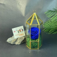 Rose Eternelle sous Fanous