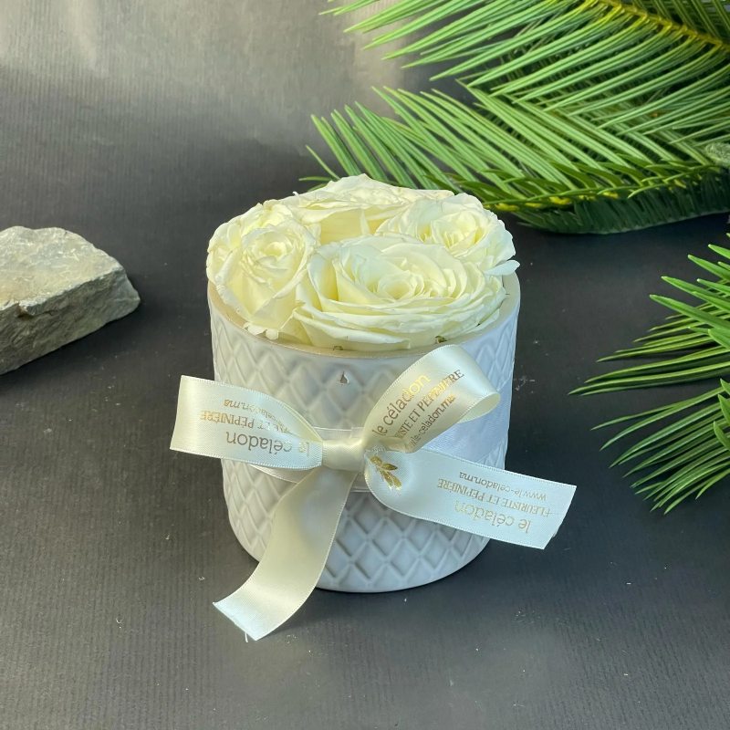 Lovely porcelaine roses