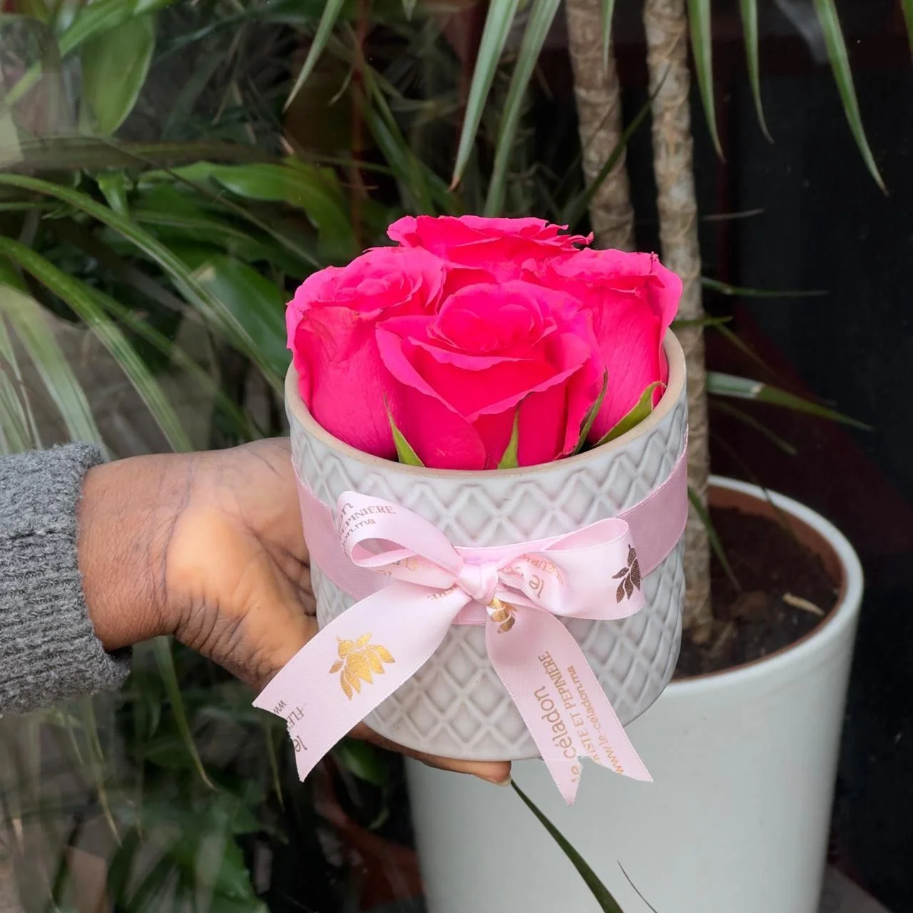 Lovely porcelaine roses