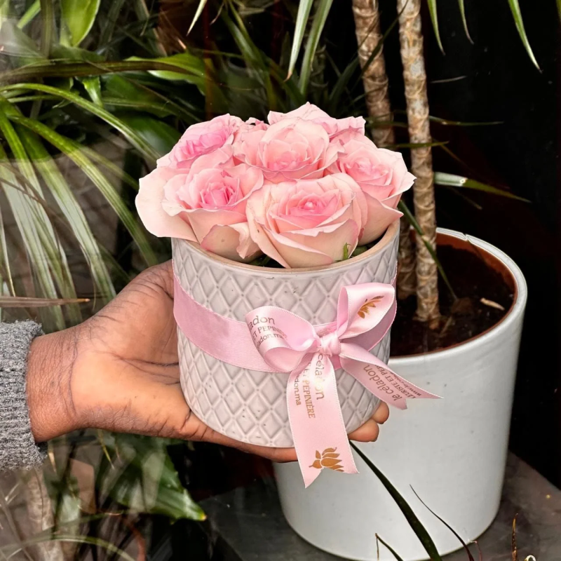 Lovely porcelaine roses