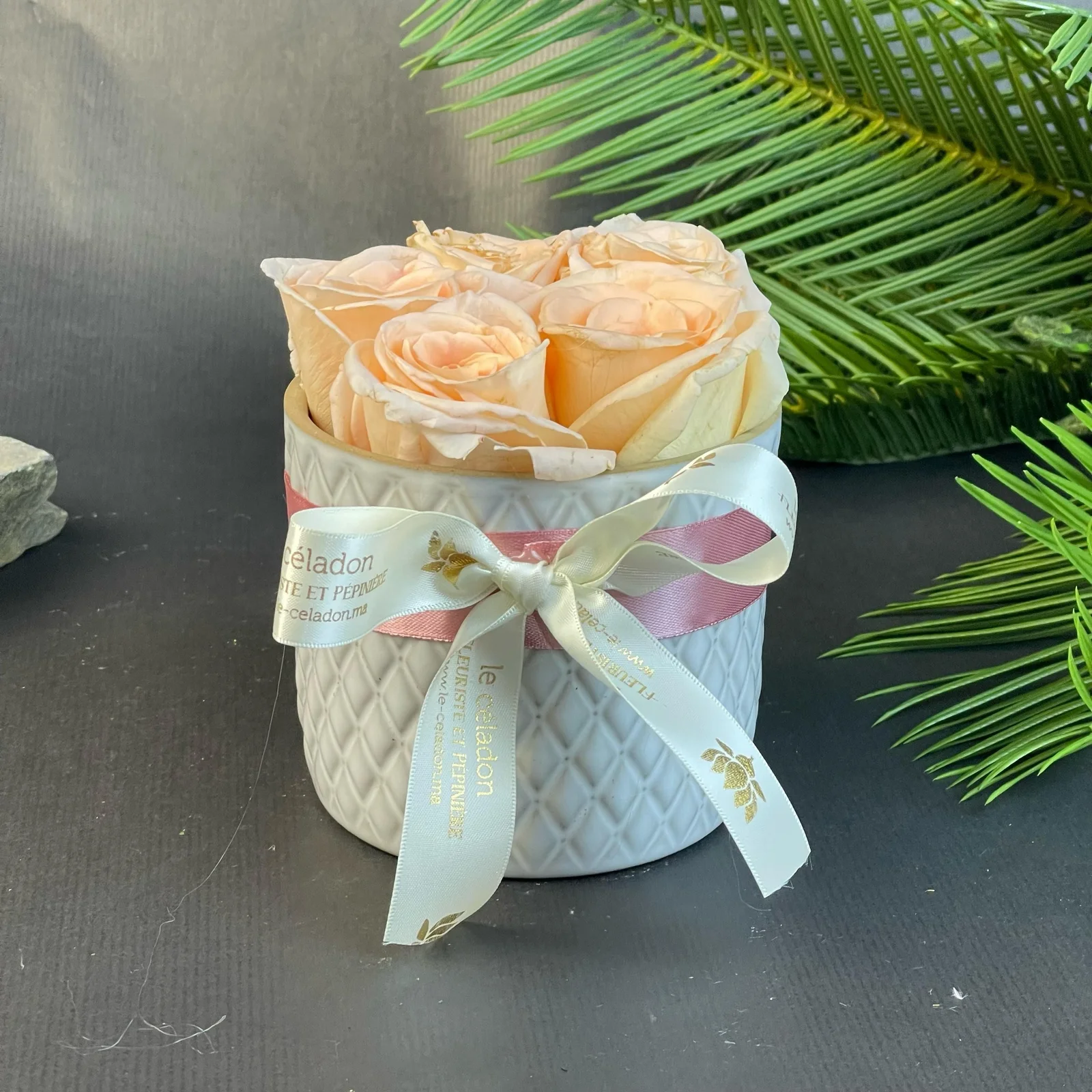 Lovely porcelaine roses