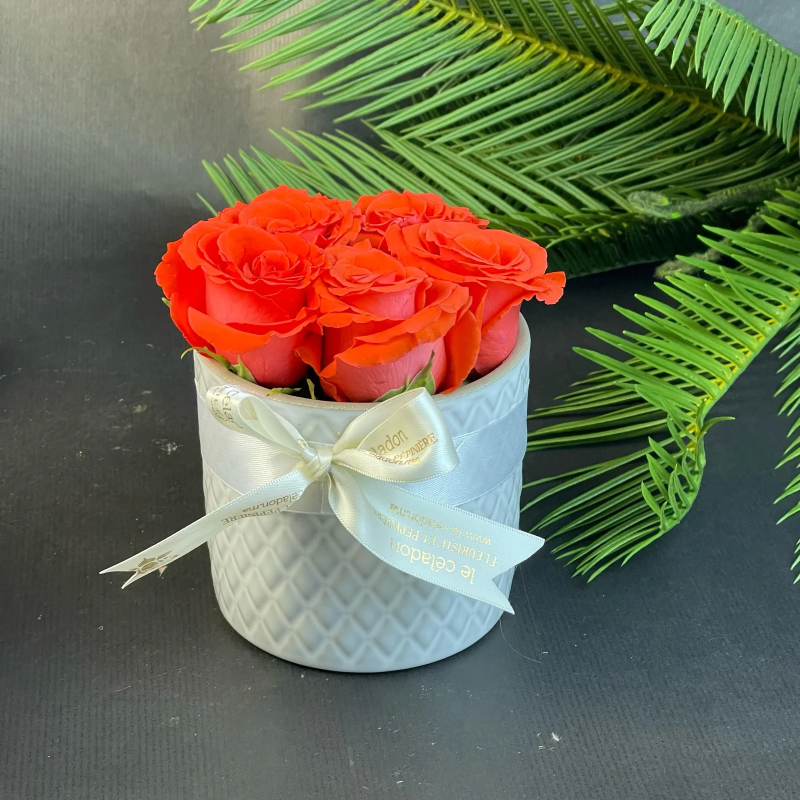 Lovely porcelaine roses