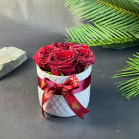 Lovely porcelaine roses