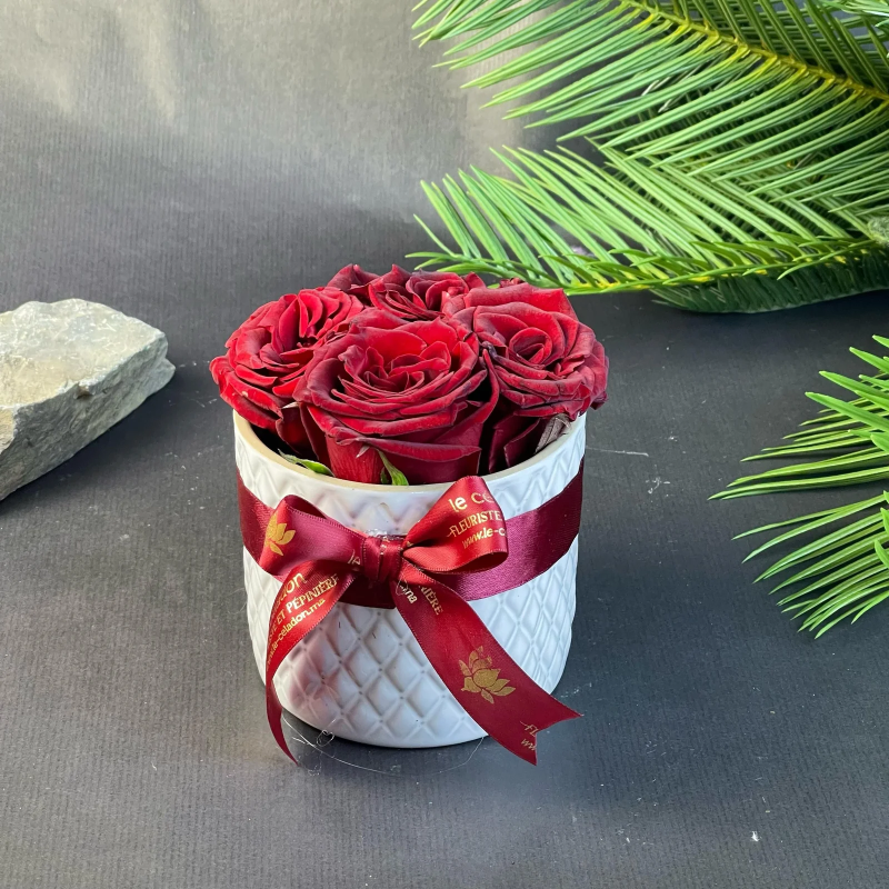 Lovely porcelaine roses